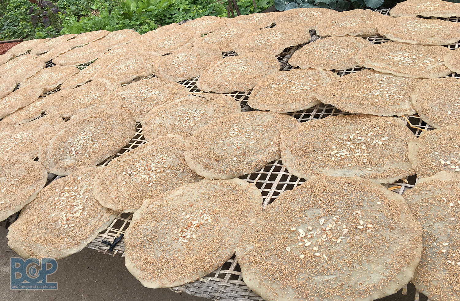 Thành phố Bắc Giang: Bánh đa Làng Kế thổi hồn hương vị quê hương